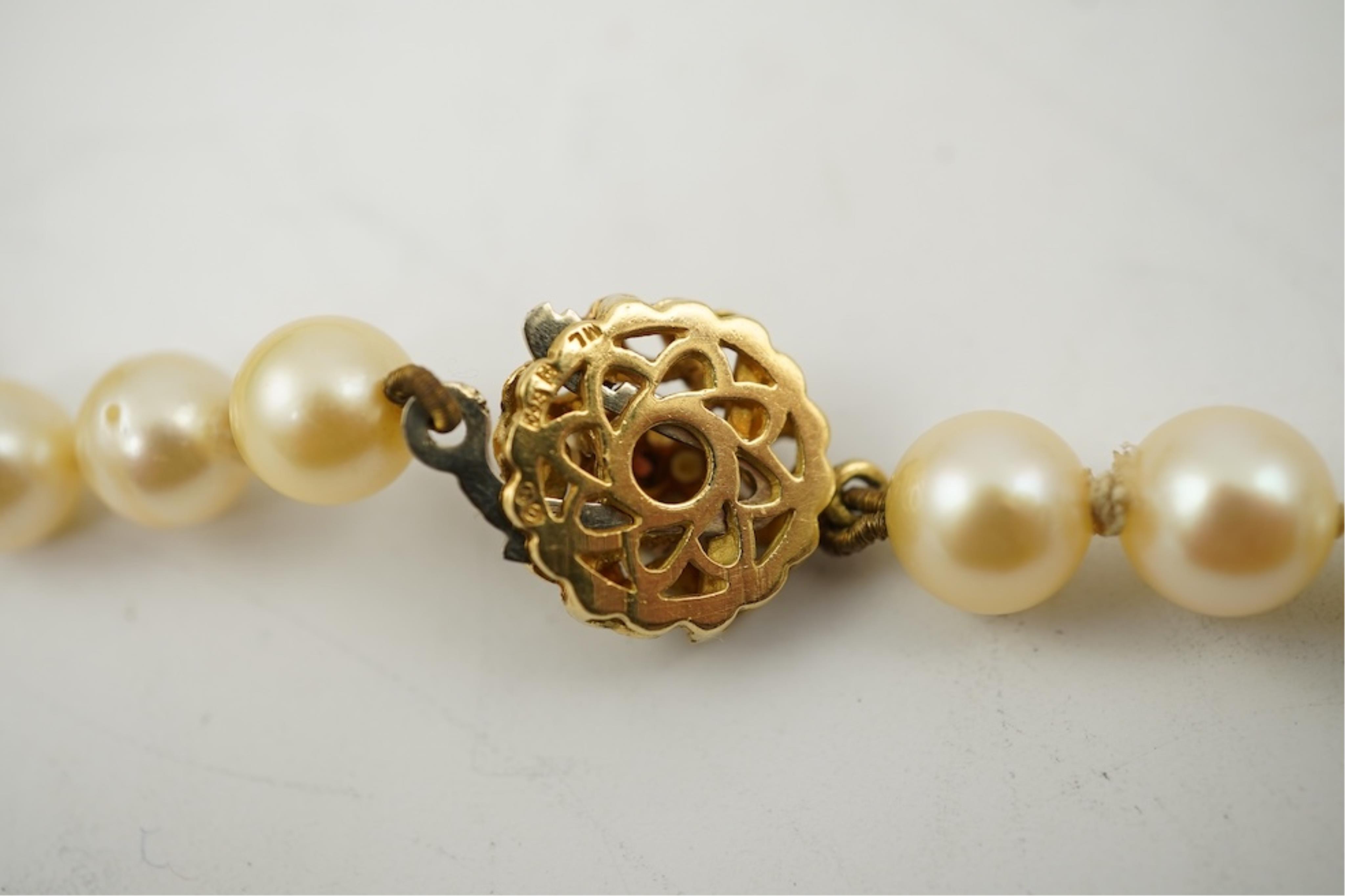 A single strand cultured pearl necklace, wit an 18ct gold, ruby and seed pearl cluster set clasp, 40cm.